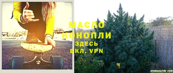гашиш Богданович