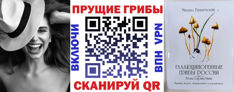 Галлюциногенные грибы Psilocybe  Купить закладки  Перевоз 